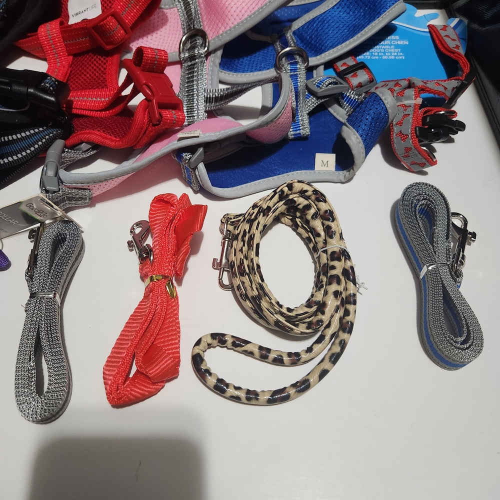 Assorted Pet Harness and Leash Set Bundle - Picture 4 of 7